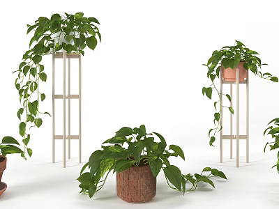 Bonsai Potted Plants With Green Hanging Vines On White Plant Stands And Terracotta Pots 3d model
