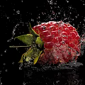 Close Up Fresh Juicy Raspberry with Splashing Water Droplets on Black Background