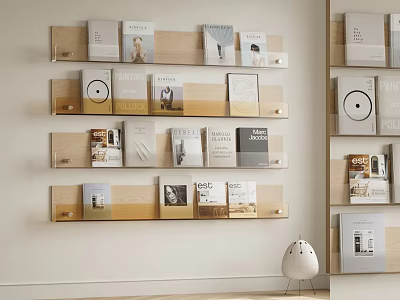 Books And Magazines Collection Neatly Displayed On Wooden Shelves For Home Interior 3d model