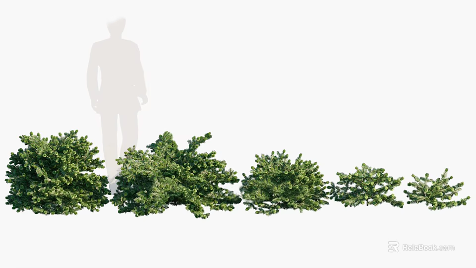Green Leafy Bushes of Various Sizes for Garden Landscaping Design Ideas 3d model 