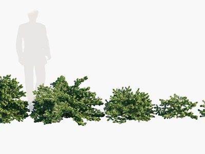 Green Leafy Bushes of Various Sizes for Garden Landscaping Design Ideas 3d model