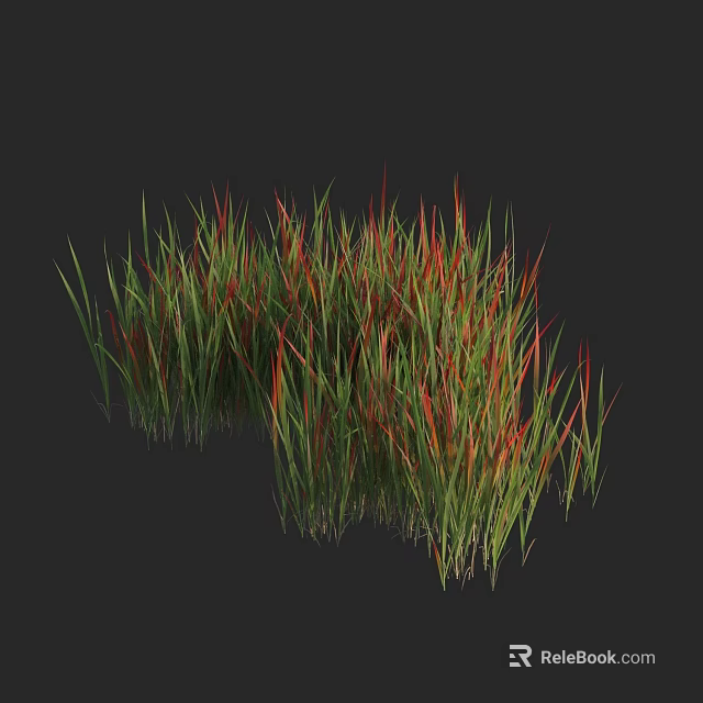 Vibrant Green and Red Grass with Lush Foliage in Natural Cluster 3d model 