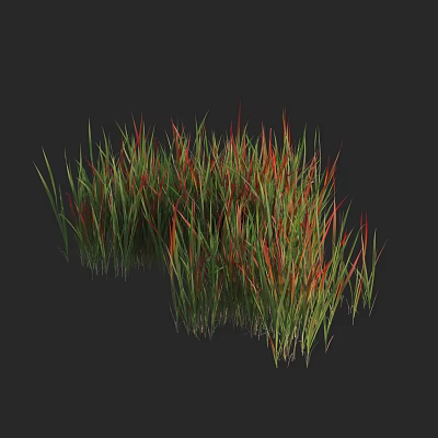 Vibrant Green and Red Grass with Lush Foliage in Natural Cluster 3d model