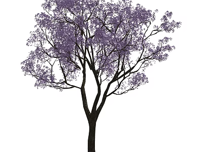 Lush Purple Flowering Arbor With Dark Trunk And Elegant Branches 3d model