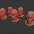 Male Bald Head Models With Different Angles And Expressions On White Surface
