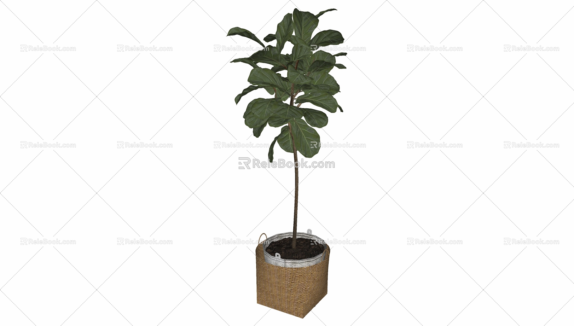 potted plant 3d model