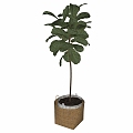 potted plant 3d model