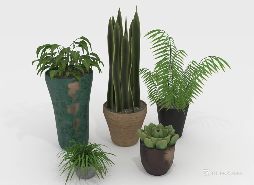 Indoor Potted Plants With Tall Green Leaves Fern And Succulent In Various Colored Ceramic Pots 3d model 