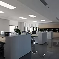 Modern Public Office Area With Glass Partitions Bright Lighting Sleek Flooring Reception Desk And Plants