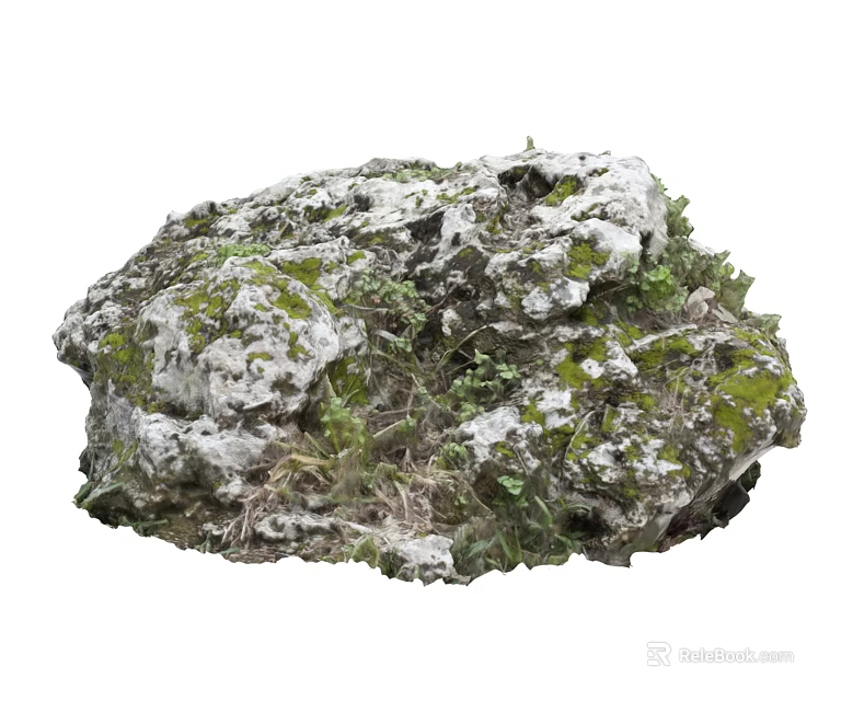 Natural Stone And Wood With Mossy Surface And Small Green Plants 3d model 
