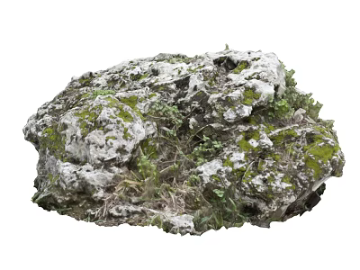 Natural Stone And Wood With Mossy Surface And Small Green Plants 3d model