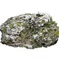 Natural Stone And Wood With Mossy Surface And Small Green Plants