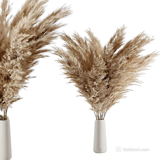 White Ceramic Vase With Dried Pampas Grass Flowers For Modern Home Decor 3d model 