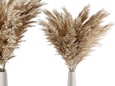 White Ceramic Vase With Dried Pampas Grass Flowers For Modern Home Decor 3d model