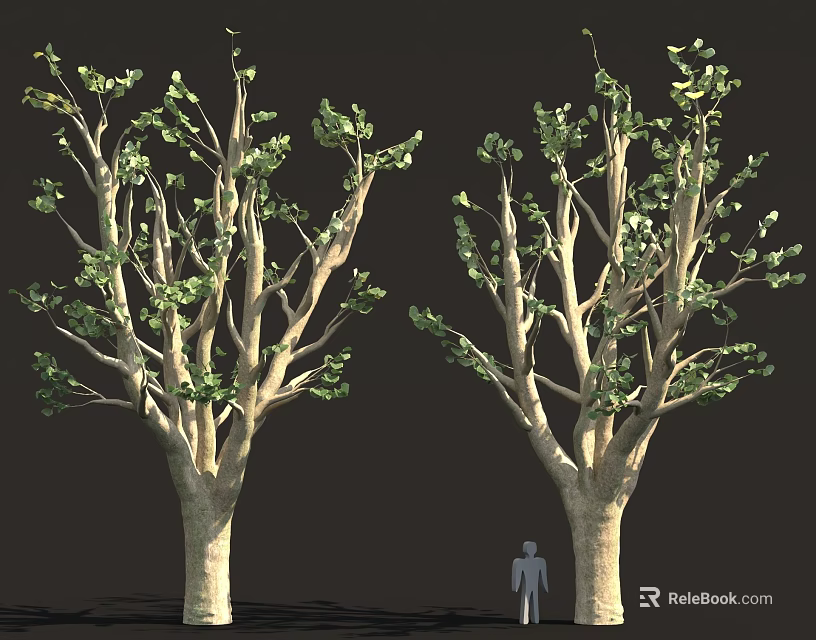 Two Trees With Green Leaves Trunks And Human Figure For Scale Reference 3d model 