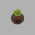 Stylish Round Coffee Table With Dark Wooden Top Golden Legs Green Plant Red Pot