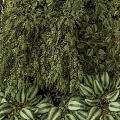 Lush Living Green Wall With Diverse Foliage And Fresh Greenery For Modern Indoor Decor