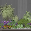 Garden Flowers And Plants Featuring Tall Fern Purple Red Blooms Green Shrubs Against Gray Wall