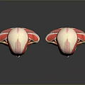 Medical Device Head Muscle Anatomical Models Showing Detailed Neck and Facial Muscle Structures