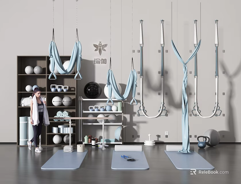 Yoga Fitness Equipment Indoor Display with Aerial Hammocks Mats Balls and Wall Hanging Devices 3d model 