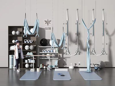 Yoga Fitness Equipment Indoor Display with Aerial Hammocks Mats Balls and Wall Hanging Devices 3d model
