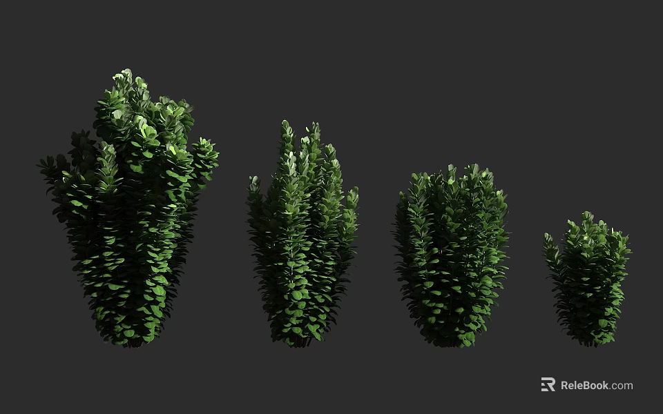 Green Arbor Trees With Various Sizes And Lush Foliage In Dark Setting 3d model 