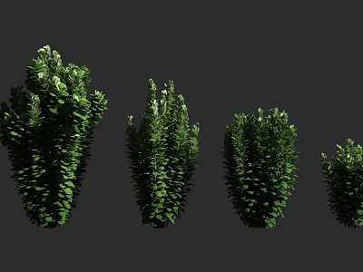 Green Arbor Trees With Various Sizes And Lush Foliage In Dark Setting 3d model