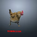 Realistic 3D Animated Chicken Model With Rigged Skeleton And Movements 3d model