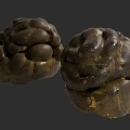 Two Textured Brown Round Natural Objects With Rough Surface And Organic Shape 3d model