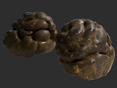 Two Textured Brown Round Natural Objects With Rough Surface And Organic Shape 3d model