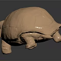 Decorative Ornament Set Featuring Golden Tortoise Figure With Shiny Surface For Home Decor