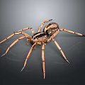Detailed Spider With Brown Black Body And Long Legs Isolated On Gray Background In High Definition