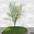 Modern Tree Plant Trees Arbor 3d model
