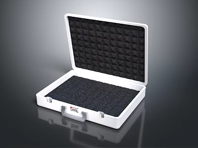 Open White Case With Black Foam Padding And Silver Handle Design 3d model