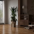 Modern Wooden Chest of Drawers With Green Plants Rattan Chair and Decorative Lamp