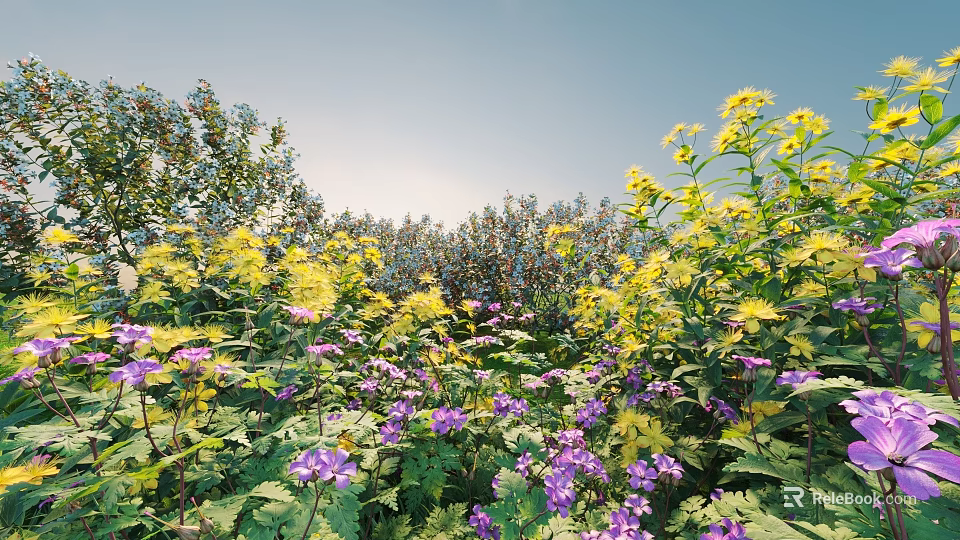 Vibrant Garden Shrubs With Yellow And Purple Flowers And Green Foliage 3d model 