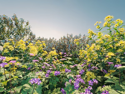 Vibrant Garden Shrubs With Yellow And Purple Flowers And Green Foliage 3d model