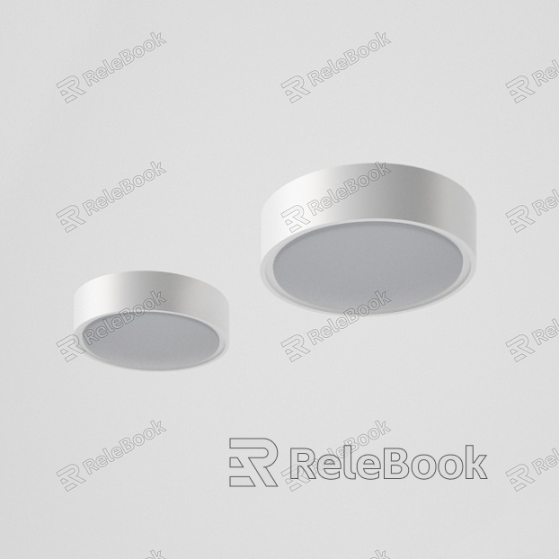 Ceiling lamp Ceiling lamp combination model