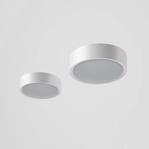 Ceiling lamp Ceiling lamp combination 3d model
