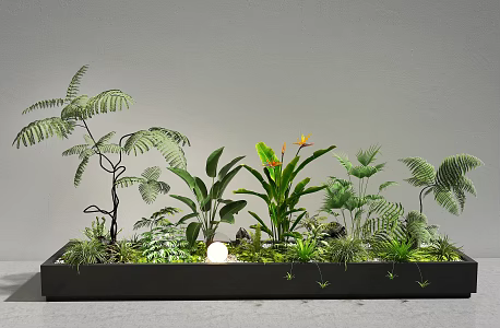 Plant Pile Indoor Landscape Flower Box Plant Combination Plant Landscape 3d model