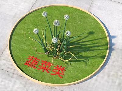 Vegetable Category Display with Circular Tray Green Grass Background and White Spherical Flowers 3d model
