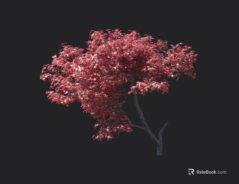 Stunning Red Leaf Arbor Featuring Vibrant Foliage Against Dark Background 3d model 