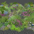 Vibrant Mixed Flowers and Diverse Green Plants in a Lush Garden Bed