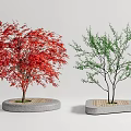Modern Tree Landscape Tree 3d model