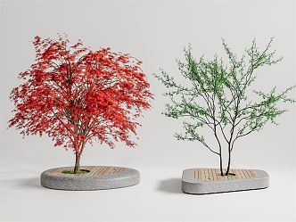 Modern Tree Landscape Tree 3d model