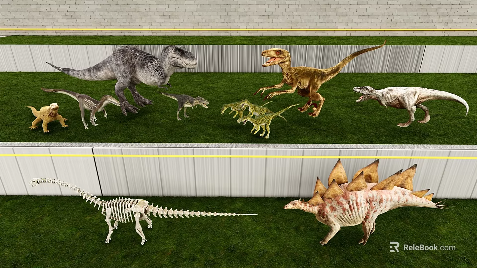 Realistic Dinosaur Models With Skeleton Replicas And Various Species 3d model