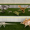 Realistic Dinosaur Models With Skeleton Replicas And Various Species 3d model