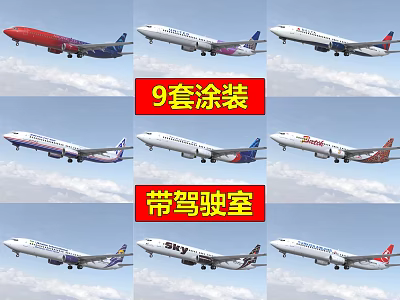 Commercial Airliners With 9 Liveries And Cockpit 3d model