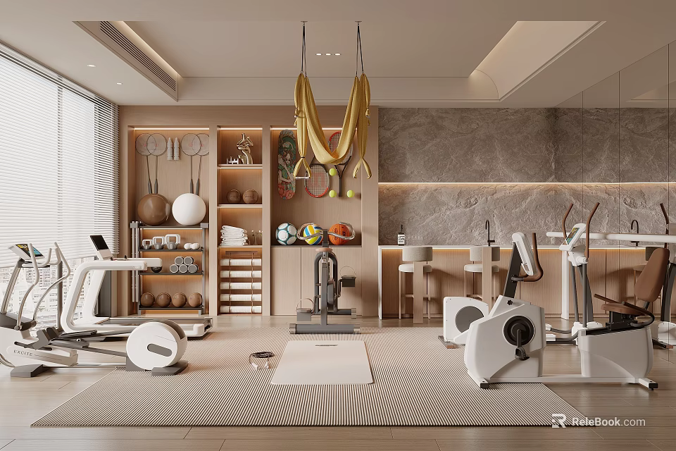 Modern Home Leisure Room With Fitness Equipment And Organized Storage 3d model 
