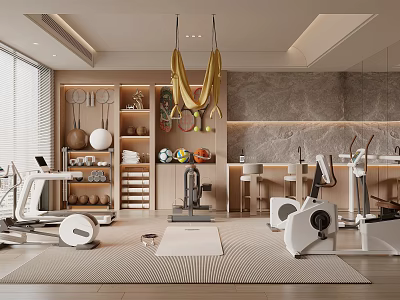 Modern Home Leisure Room With Fitness Equipment And Organized Storage 3d model